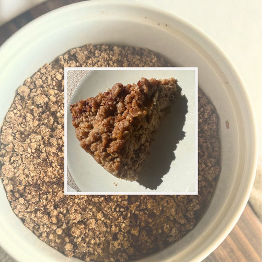 NY Style Vegan Crumb Cake