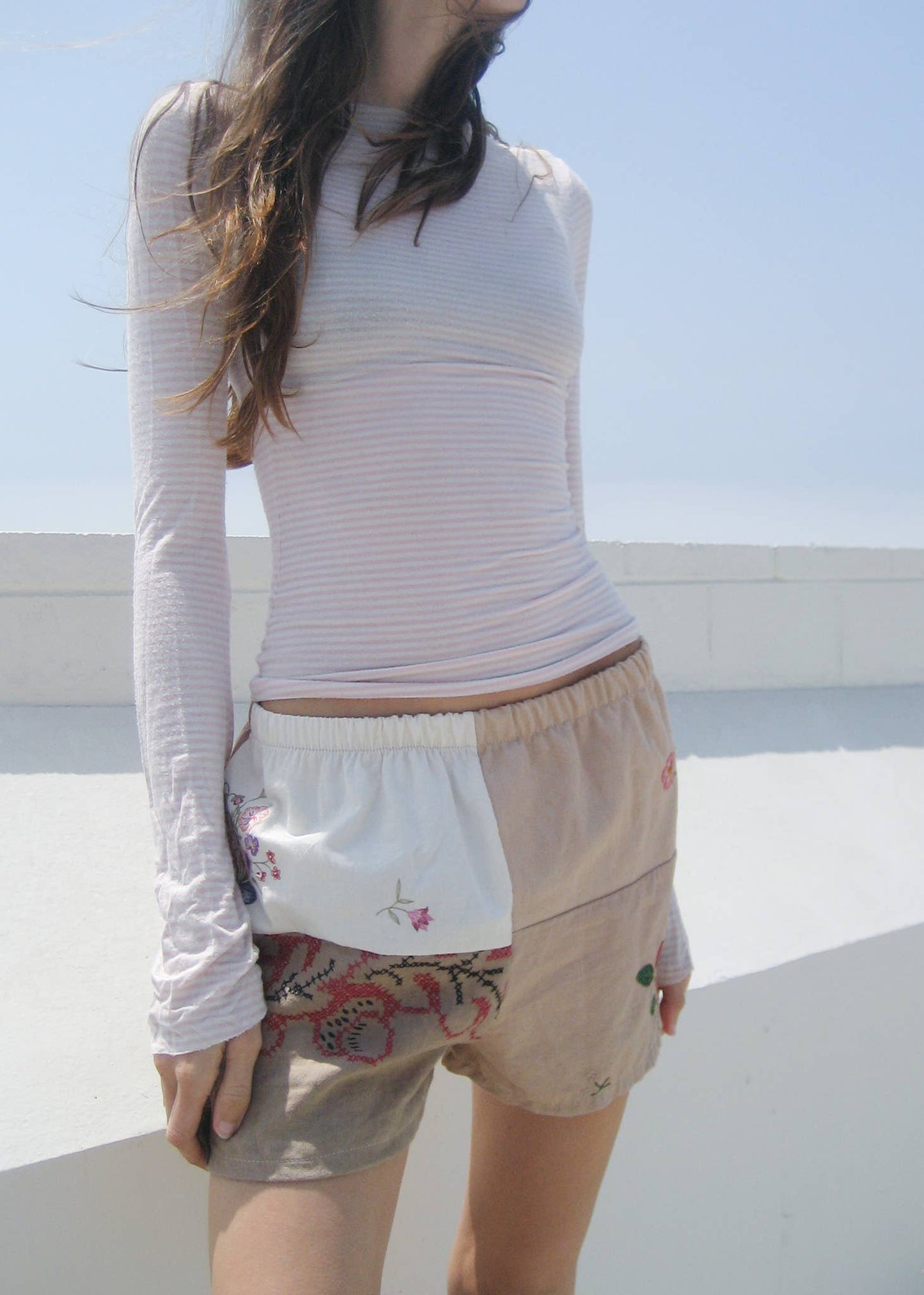 Embroidered Pieced Short