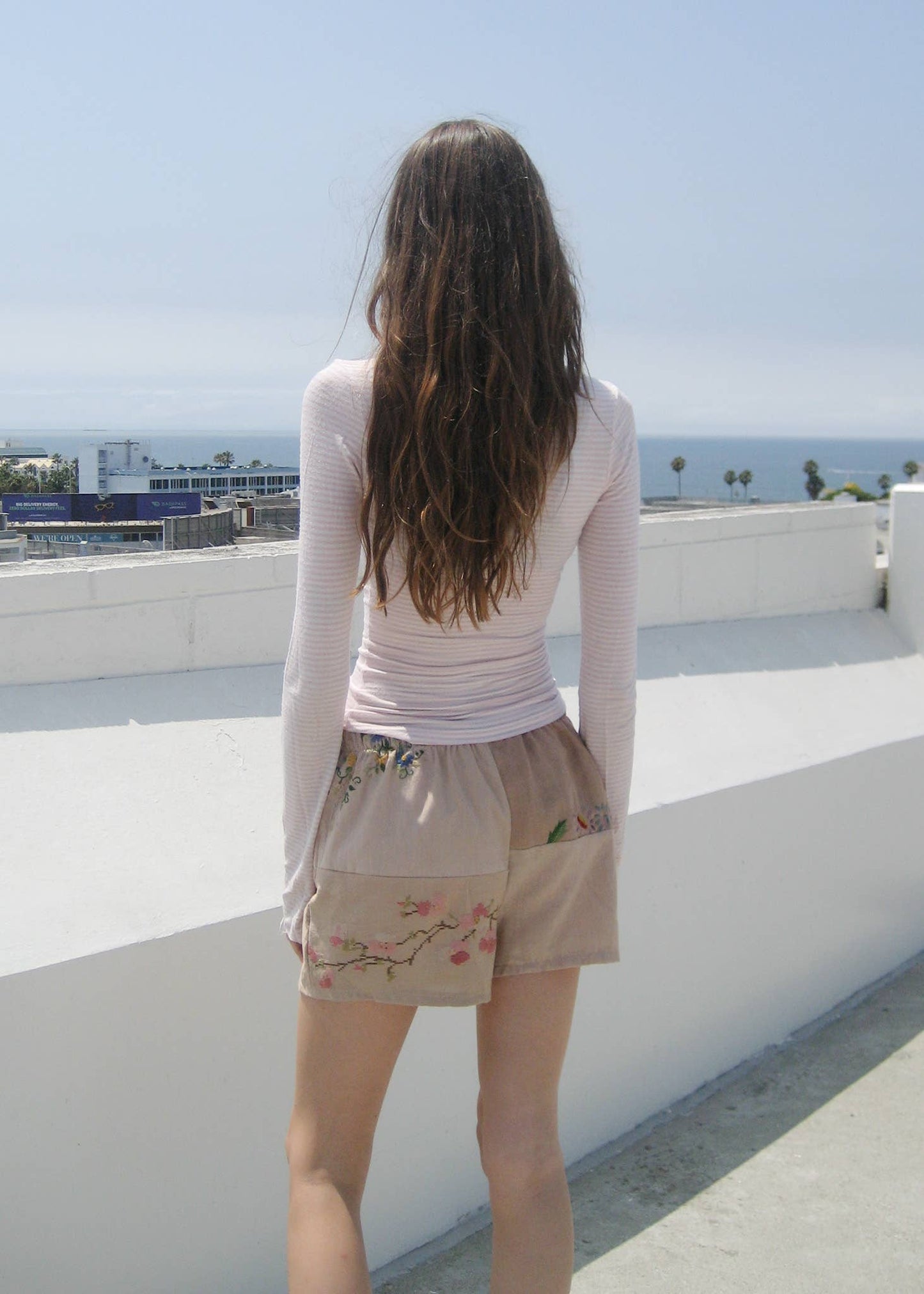 Embroidered Pieced Short